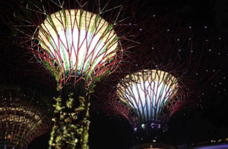Gardens by the bay Online