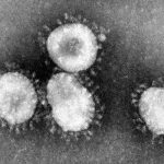 NU releases Coronavirus statement