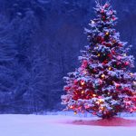 Advent Art: The joy of Christmas trees