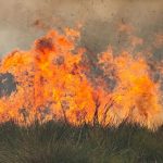 Wildfires on one of the world's largest wetlands