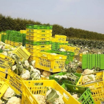 The importance of reducing food waste
