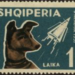 This November: Sputnik II and Laika the Dog, 65 years later