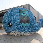 Dalton Park announces 'Dale the Whale' as new sustainability mascot