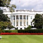 To Endorse or Not to Endorse: artists offer mixed messages ahead of US election