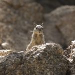 The Open Photography Competition