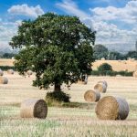 “No farmers, no food”: agricultural workers protest inheritance tax changes