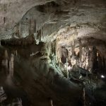 Spotlight On: The Postojna Caves in Slovenia