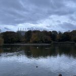 My Love Letter to St James' Park