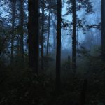 Thrilling, disturbing and gripping: ‘Shelby Oaks’ review