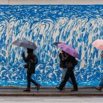 Newcastle back lanes bloom with local artistry