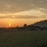 Take me home, country roads! Why you should visit Westbury, Wiltshire