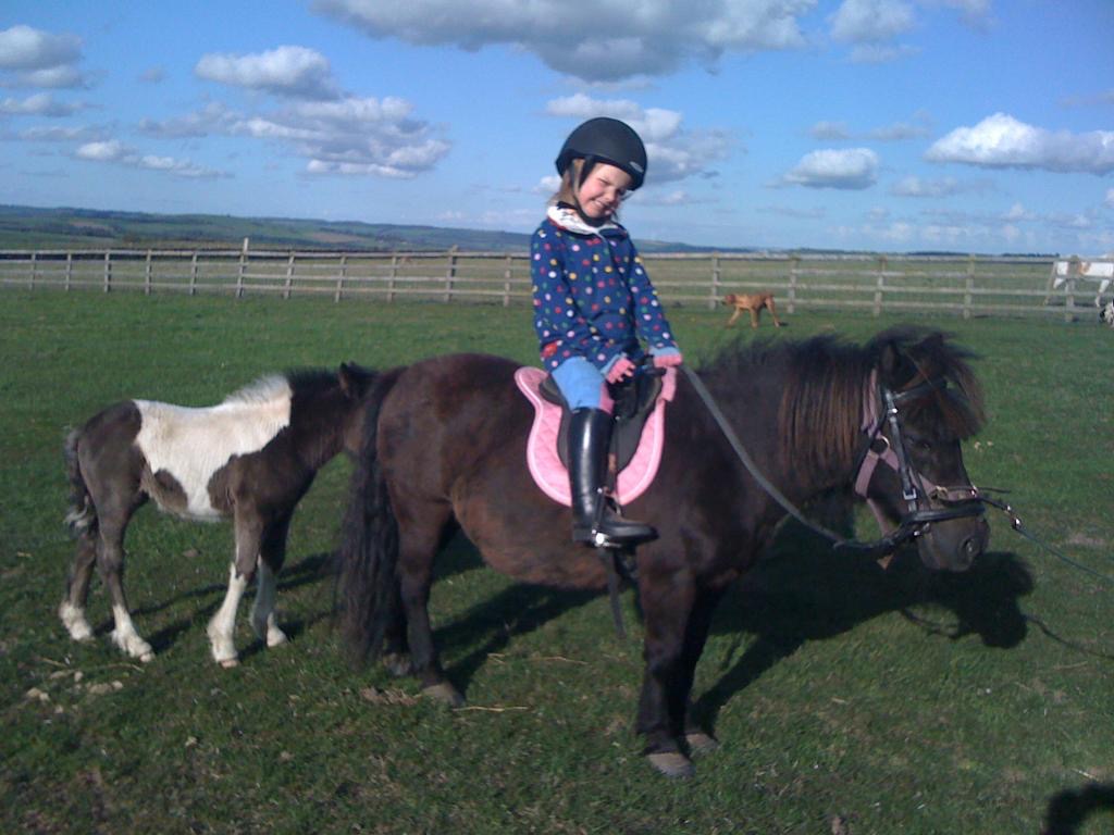 Image Credit: Donna Cowie
