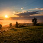 How to spend the brighter Newcastle nights 