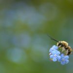 ISTG Bridgerton, what was that ending?